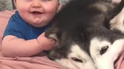 My baby and dog happy moment || My love cute puppy