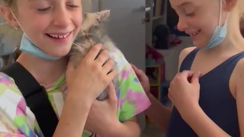 Twins Surprised by New Kitten Overcome with Joy