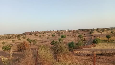 Rajasthan desert