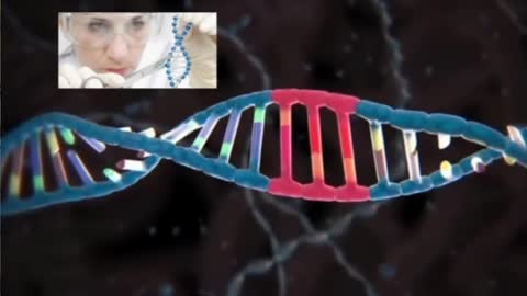 Divine Image Destroyed What the Bible Says about DNA
