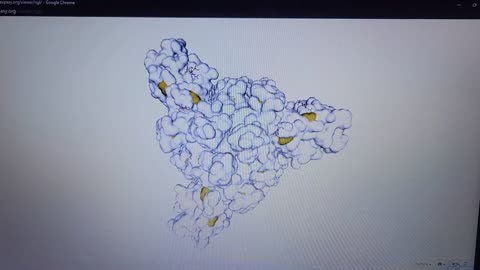 Surface Model Rotation of the Spike Protein Discussed