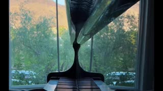 🔴 Beautiful Relaxing Music • Peaceful Piano Music • Water Music & Bird Music | Meditation