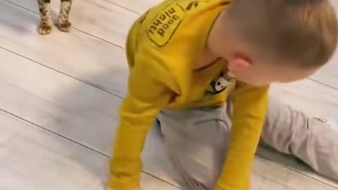 Cat Wants To Play With Son