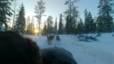 Lapland - Family Experience - *BEST BITS* part2