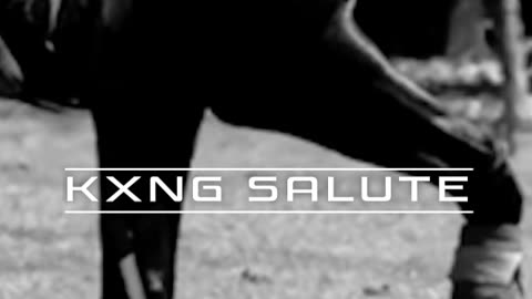 KXNG SALUTE