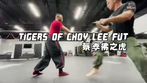 Tigers of Choy Lee Fut - 'Loong Hahng Kwun' (Dragon Staff)_Cut