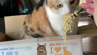 Do You Want Some Noodles?