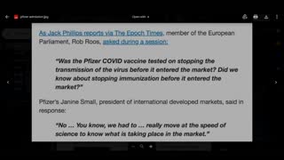 Pfizer Executive's Admission Shows That Vaccine Mandates & Passports Were Based On Lies