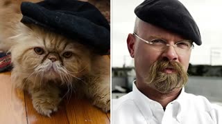 Animals That Look Like Celebrities