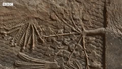 Ancient rock carvings discovered in Iraq - BBC News