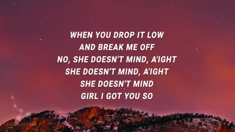 Sean Paul - She Doesn't Mind (Lyrics Video)