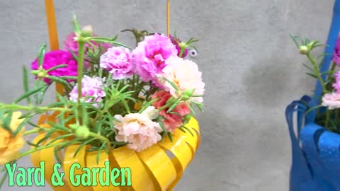 Unique Idea, Recycle Plastic Bottles into Beautiful Hanging Moss Rose Pots From Cutting