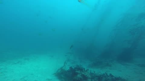 SCUBA - Monterey, California 2018 - Breakwater