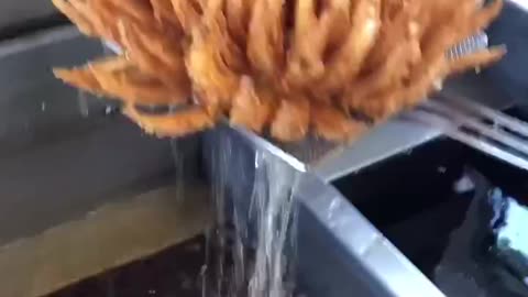 Do you like fried onions?