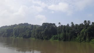 Rainy day along a River