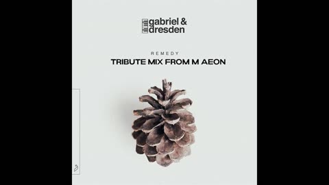 Gabriel & Dresden Remedy Tribute Mega Mix