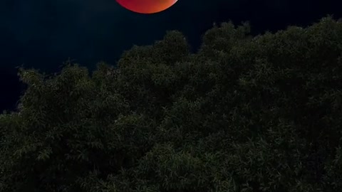 Luna di sangue