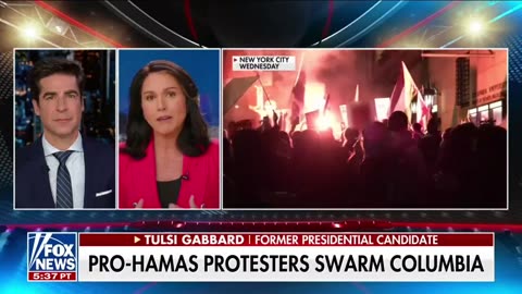 Tulsi Gabbard: They've Gone BEYOND Saying They're Pro-Hamas