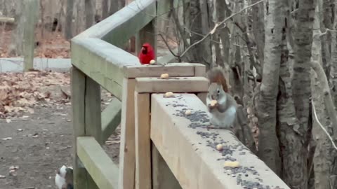 Checking up on the James Gardens Toronto residents