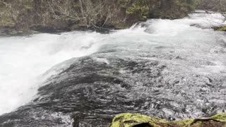 WILD, ROARING & RAGING McKenzie River – Sahalie Falls & Koosah Falls Loop – Central Oregon – 4K