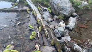 Central Oregon - Little Three Creek Lake - Runoff Creek Crossing - 4K