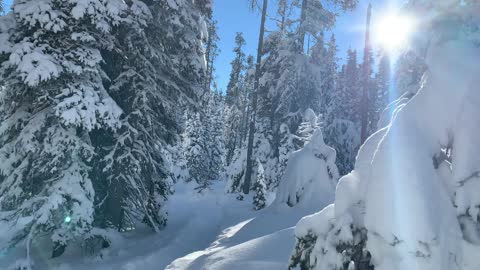 Climbing Up the Snowy Forest – Central Oregon – Swampy Lakes Sno-Park – 4K