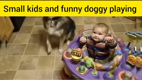 Small kids and funny doggy playing |