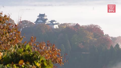 Castle in the sky awes tourists