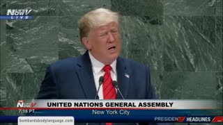 Body Language, Trump At The U.N. Council