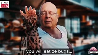 Klaus Schwab - Every Bug You Eat 🤪