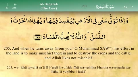 002 Surah Al Baqara by Mishary Al Afasy
