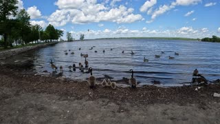 Britannia Park #18 & Beach In Ottawa