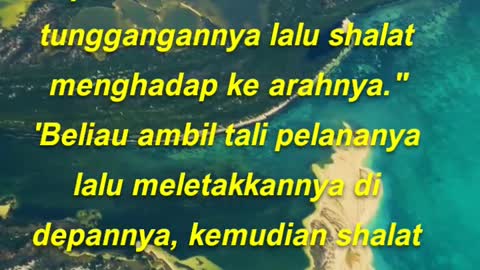 Ibnu 'Umar berkata, Nabi pernah menambatkan tunggangannya lalu shalat menghadap