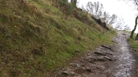 Hiking American River rain