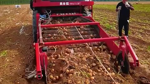 Potato Harvester