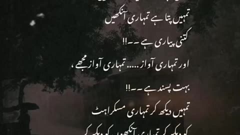 Sad lofi sad status in love status poetry urdu sad poetry