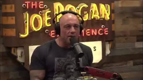 ⚫️Joe Rogan Interested In Having Trump On The Podcast