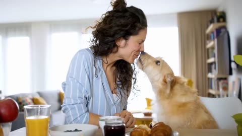 12 Scientific Ways To Get Your Dog To Love You The Most