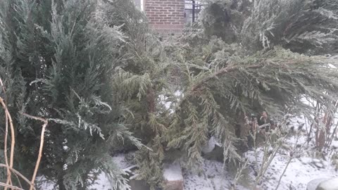 Ice storm breaks Skalnik