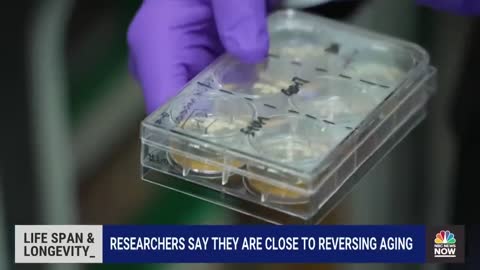 Researchers Say They Are Close To Reversing Aging