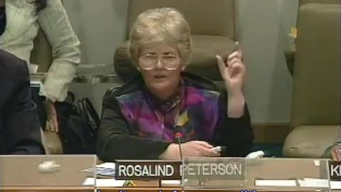 Rosalind Peterson speaking at a UN organized meeting about Climate Change