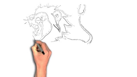 how to draw a lion beast