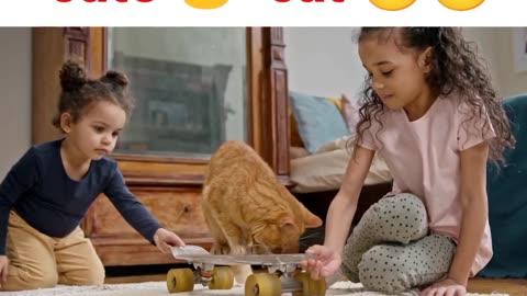This Cute Cat Video Will Make Your Day! Watch Now! 😊🐱🐱😍
