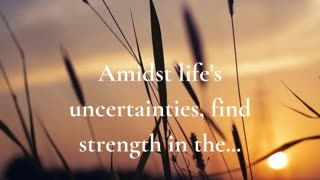 Amidst life's uncertainties