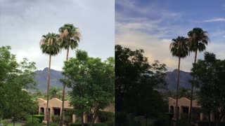 Desert Rain - Tucson