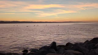 Dawn Patrol at Capitola