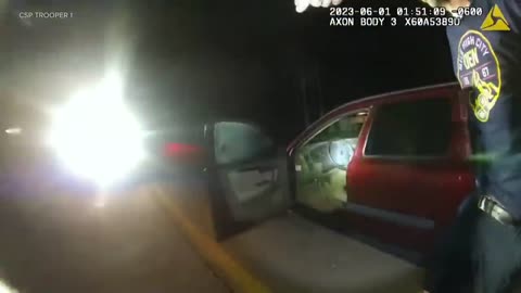 Wrong Way Driver Runs into Traffic and Gets Hit on Freeway *Graphic*