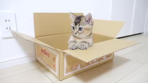 It's my box...