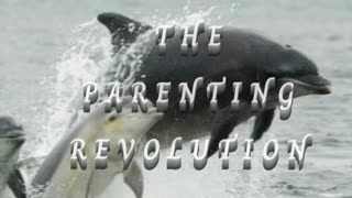 🐬 The Parenting Revolution