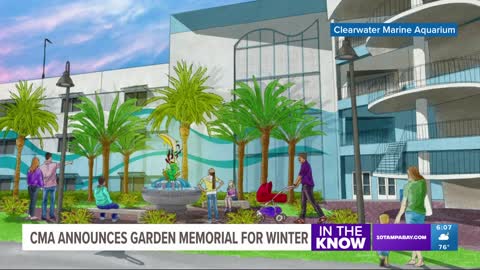 CMA announces memorial garden on 1-year anniversary of beloved dolphin's passing